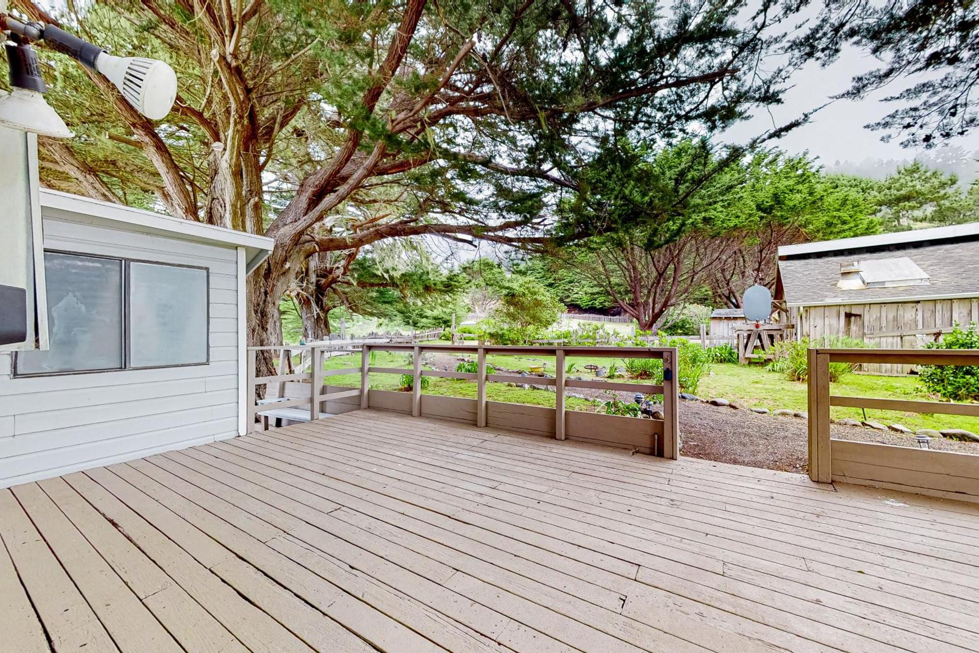 Saddle Point Ocean View Cottage Elk 외부 사진